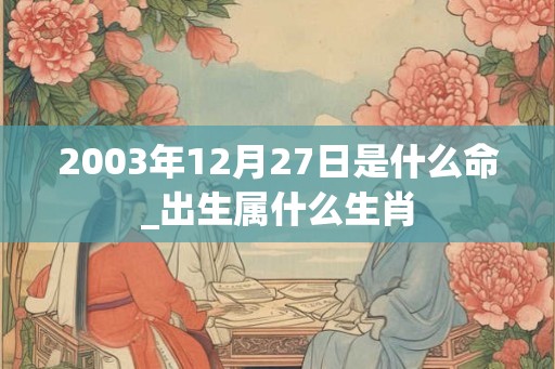 2003年12月27日是什么命_出生属什么生肖