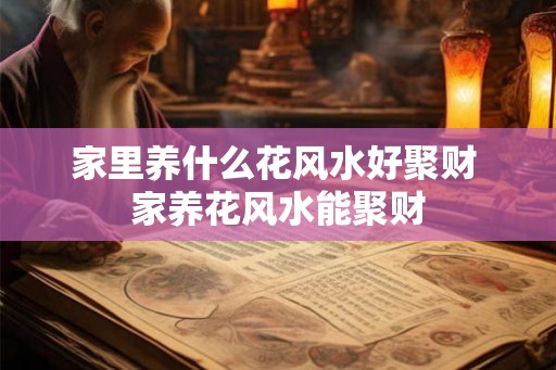 家里养什么花风水好聚财 家养花风水能聚财