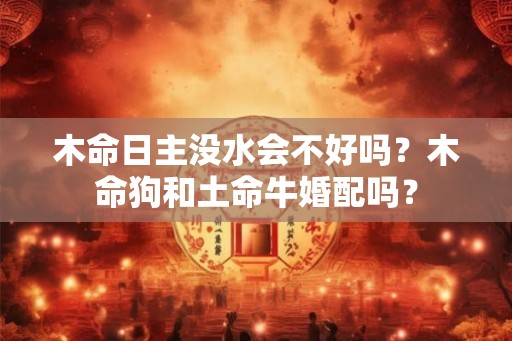 木命日主没水会不好吗？木命狗和土命牛婚配吗？
