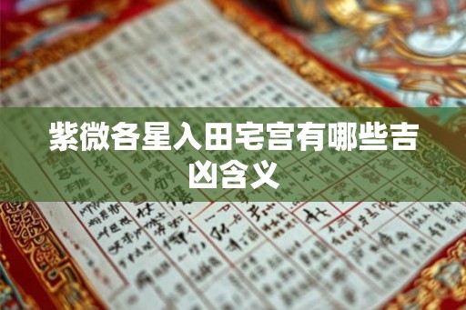 紫微各星入田宅宫有哪些吉凶含义