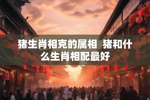 猪生肖相克的属相  猪和什么生肖相配最好