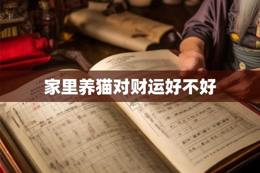 家里养猫对财运好不好 家里养猫对财运好不好