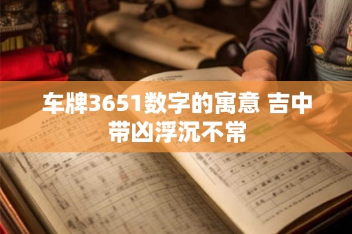 车牌3651数字的寓意 吉中带凶浮沉不常