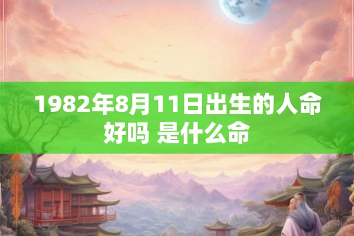 1982年8月11日出生的人命好吗 是什么命