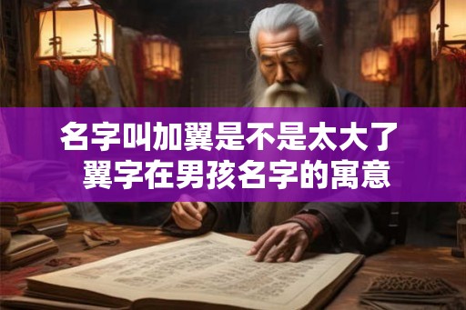 名字叫加翼是不是太大了 翼字在男孩名字的寓意 名字叫加翼是不是太大了 翼字在男孩名字的寓意