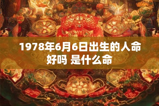 1978年6月6日出生的人命好吗 是什么命