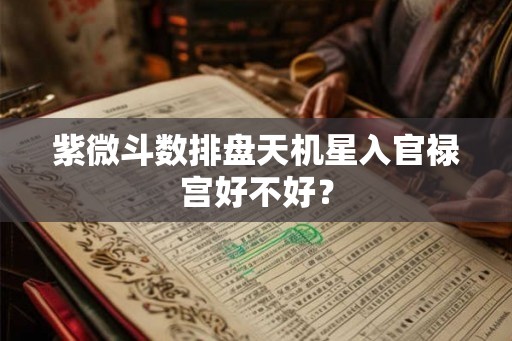 紫微斗数排盘天机星入官禄宫好不好？