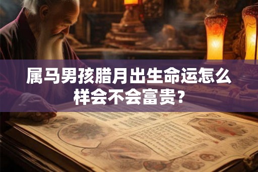 属马男孩腊月出生命运怎么样会不会富贵? 属马男孩腊月出生命运怎么样会不会富贵?