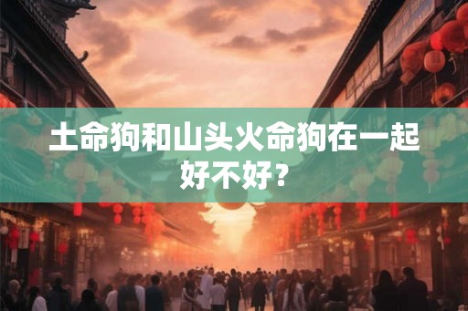 土命狗和山头火命狗在一起好不好？