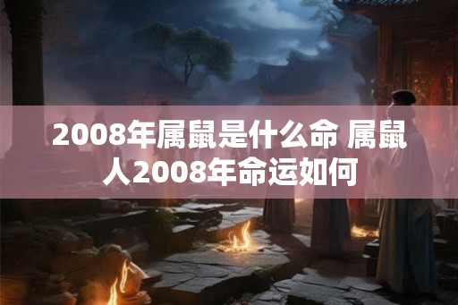 2008年属鼠是什么命 属鼠人2008年命运如何