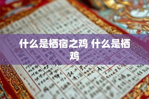什么是栖宿之鸡 什么是栖鸡 什么是栖宿之鸡 什么是栖鸡