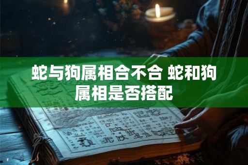 蛇与狗属相合不合 蛇和狗属相是否搭配