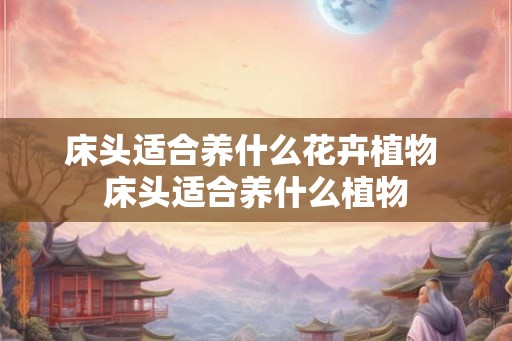 床头适合养什么花卉植物 床头适合养什么植物