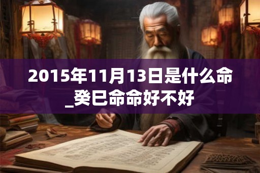 2015年11月13日是什么命_癸巳命命好不好