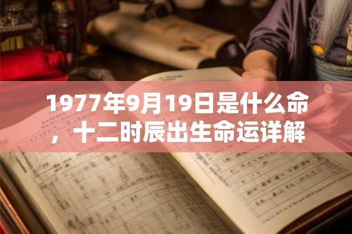 1977年9月19日是什么命,十二时辰出生命运详解 1977年9月19日是什么命,十二时辰出生命运详解