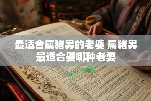 最适合属猪男的老婆 属猪男最适合娶哪种老婆