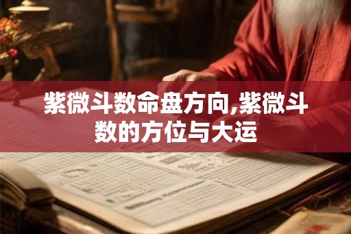 紫微斗数命盘方向,紫微斗数的方位与大运