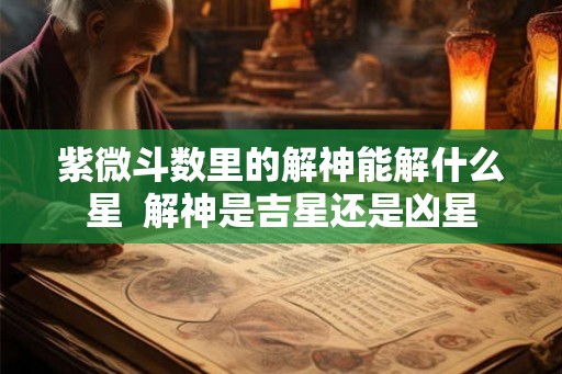 紫微斗数里的解神能解什么星  解神是吉星还是凶星