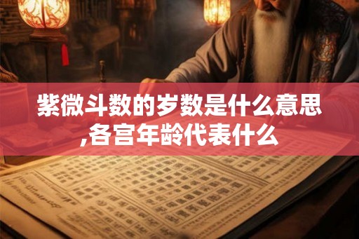 紫微斗数的岁数是什么意思,各宫年龄代表什么