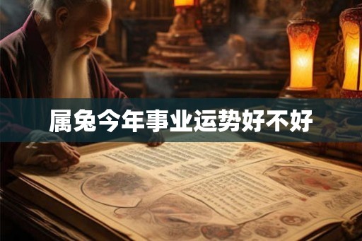 属兔今年事业运势好不好