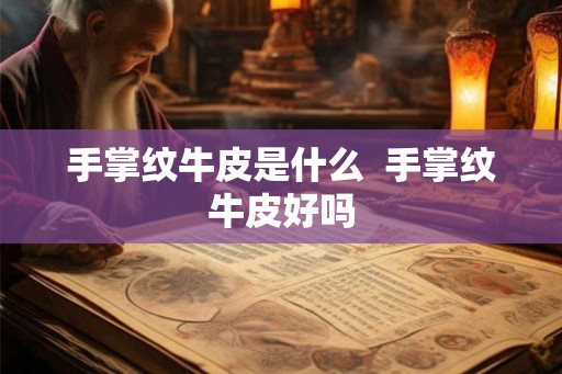 手掌纹牛皮是什么  手掌纹牛皮好吗