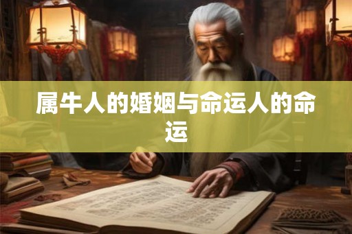 属牛人的婚姻与命运人的命运