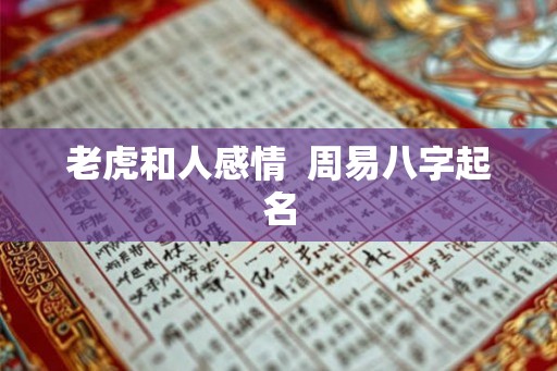 老虎和人感情  周易八字起名