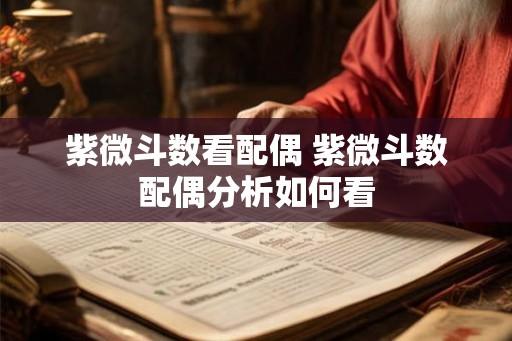 紫微斗数看配偶 紫微斗数配偶分析如何看