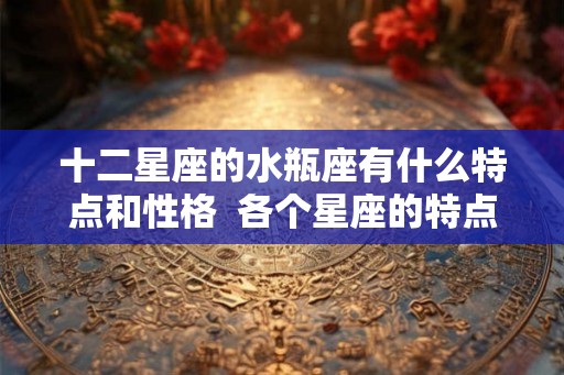 十二星座的水瓶座有什么特点和性格  各个星座的特点和性格