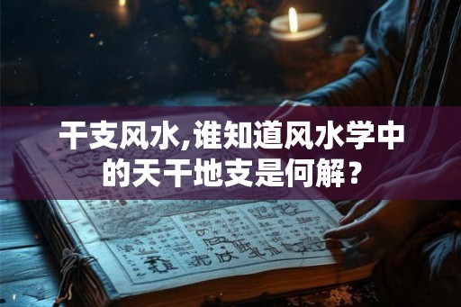 干支风水,谁知道风水学中的天干地支是何解? 干支风水,谁知道风水学中的天干地支是何解?