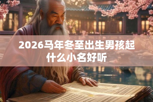 2026马年冬至出生男孩起什么小名好听