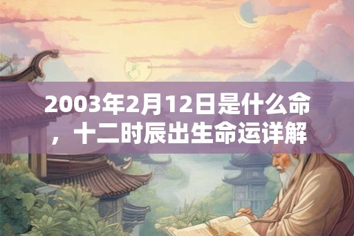 2003年2月12日是什么命，十二时辰出生命运详解