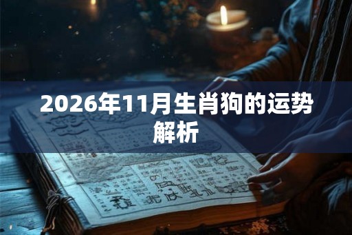 2026年11月生肖狗的运势解析