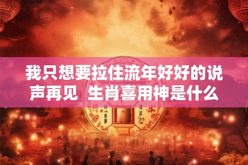 我只想要拉住流年好好的说声再见  生肖喜用神是什么意思