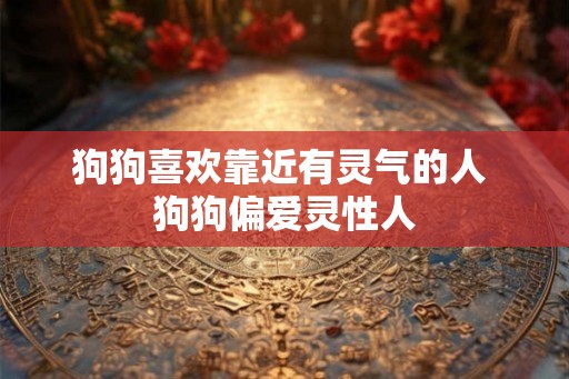 狗狗喜欢靠近有灵气的人 狗狗偏爱灵性人