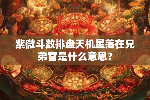 紫微斗数排盘天机星落在兄弟宫是什么意思？