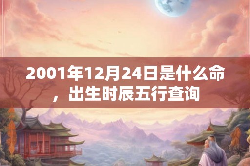 2001年12月24日是什么命，出生时辰五行查询