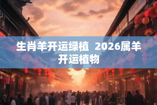 生肖羊开运绿植  2026属羊开运植物