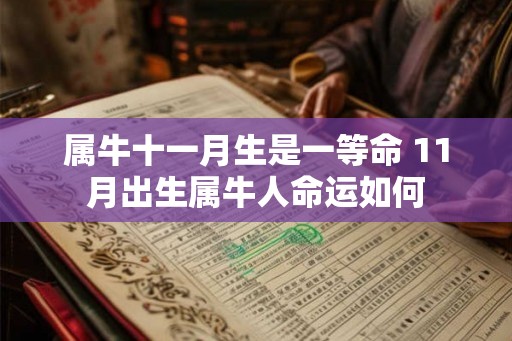 属牛十一月生是一等命 11月出生属牛人命运如何