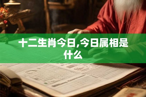 十二生肖今日,今日属相是什么