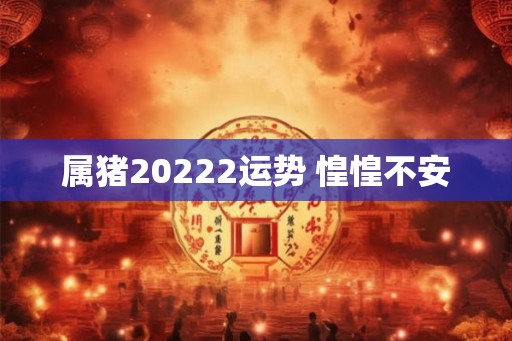 属猪20222运势 惶惶不安