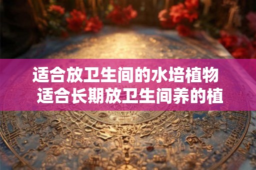 适合放卫生间的水培植物 适合长期放卫生间养的植物 适合放卫生间的水培植物 适合长期放卫生间养的植物