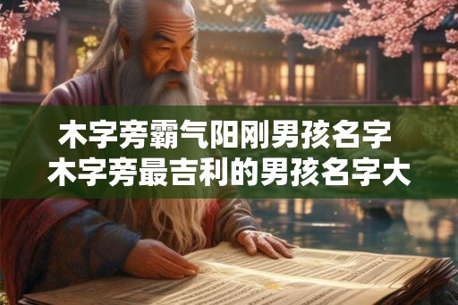 木字旁霸气阳刚男孩名字 木字旁最吉利的男孩名字大全