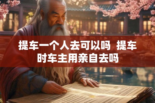 提车一个人去可以吗 提车时车主用亲自去吗 提车一个人去可以吗 提车时车主用亲自去吗