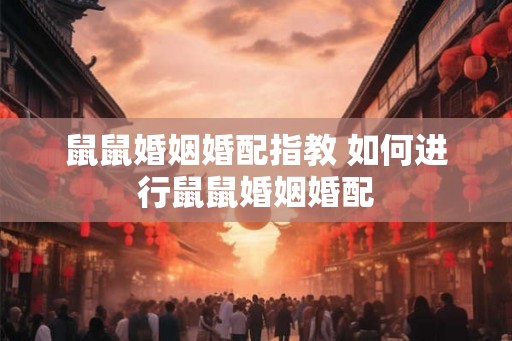 鼠鼠婚姻婚配指教 如何进行鼠鼠婚姻婚配