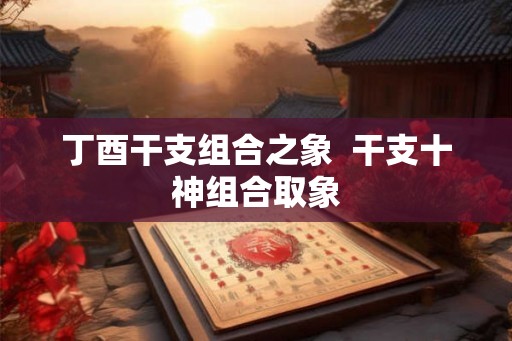 丁酉干支组合之象  干支十神组合取象
