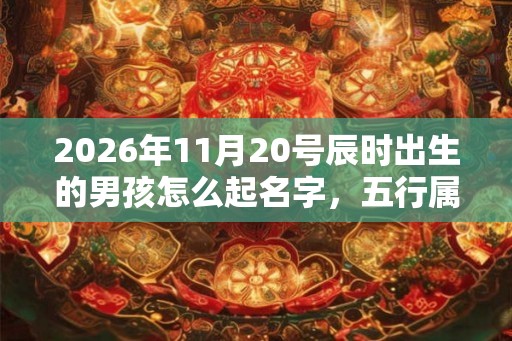 2026年11月20号辰时出生的男孩怎么起名字，五行属什么