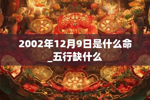 2002年12月9日是什么命_五行缺什么