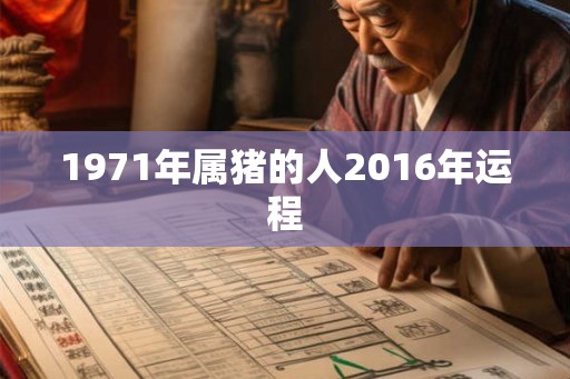 1971年属猪的人2016年运程
