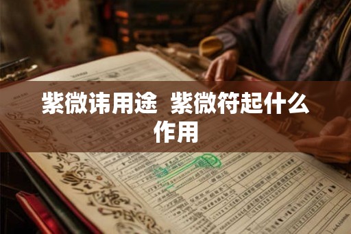 紫微讳用途  紫微符起什么作用